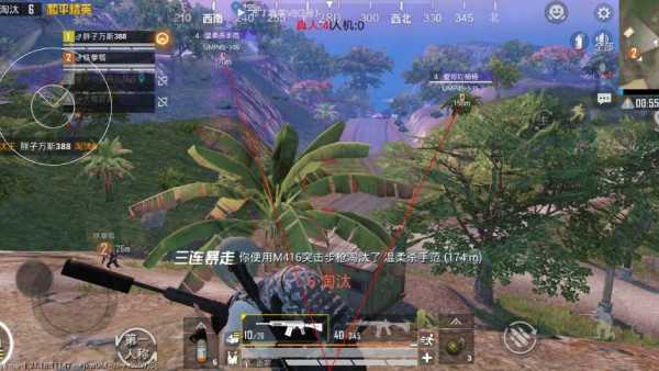 和平精英「小提琴」直装辅助